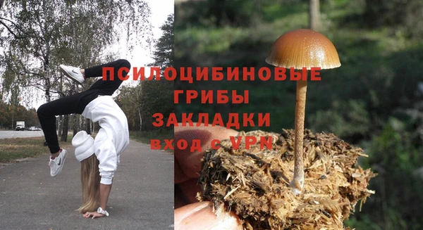 крисы Аркадак