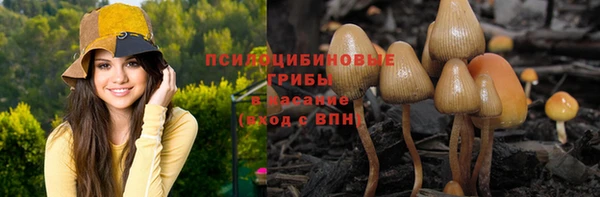 крисы Аркадак