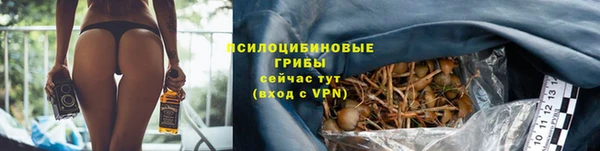 крисы Аркадак