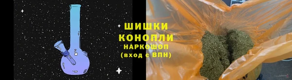 крисы Аркадак