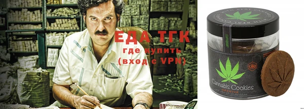 крисы Аркадак